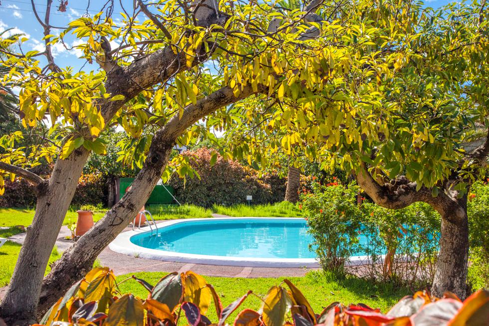 Bungalows La Plantacion - inclusief huurauto beoordelingen