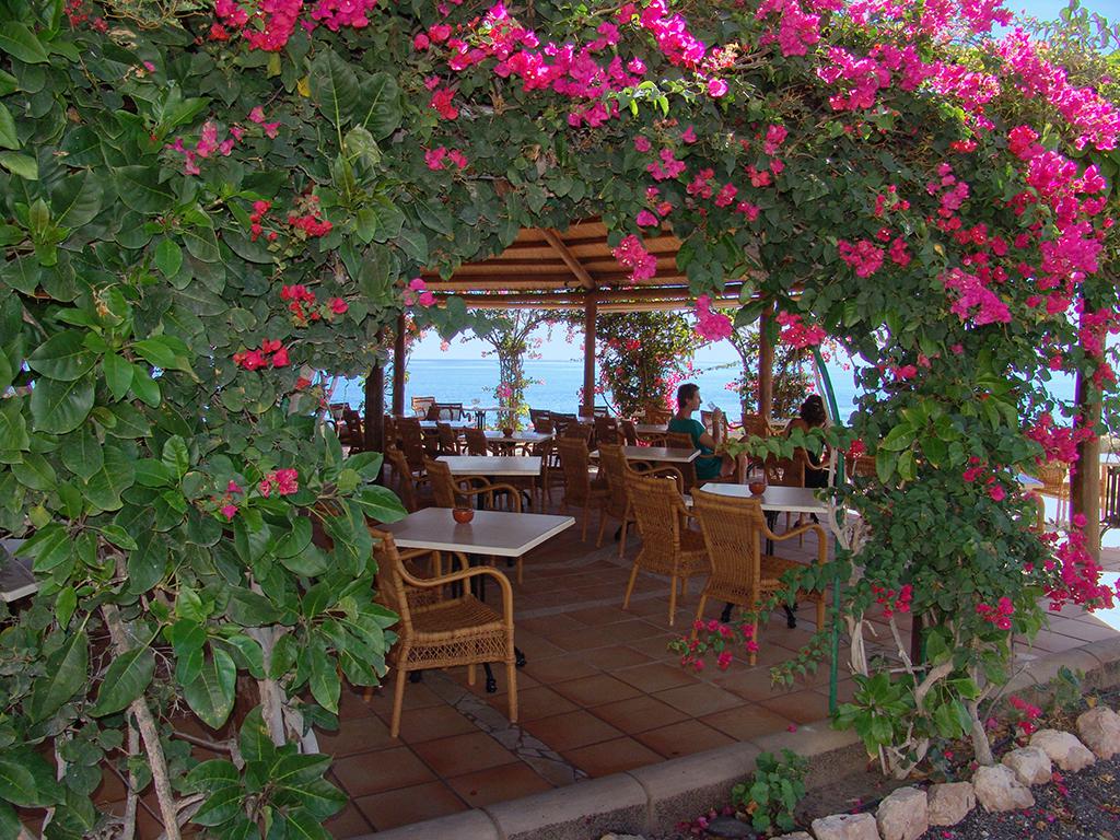 Hotel SBH Taro Beach reviews