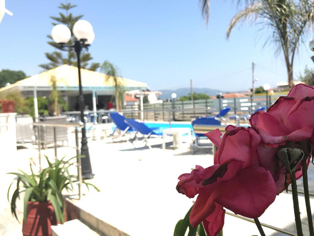 Hotel Vive Mar reviews