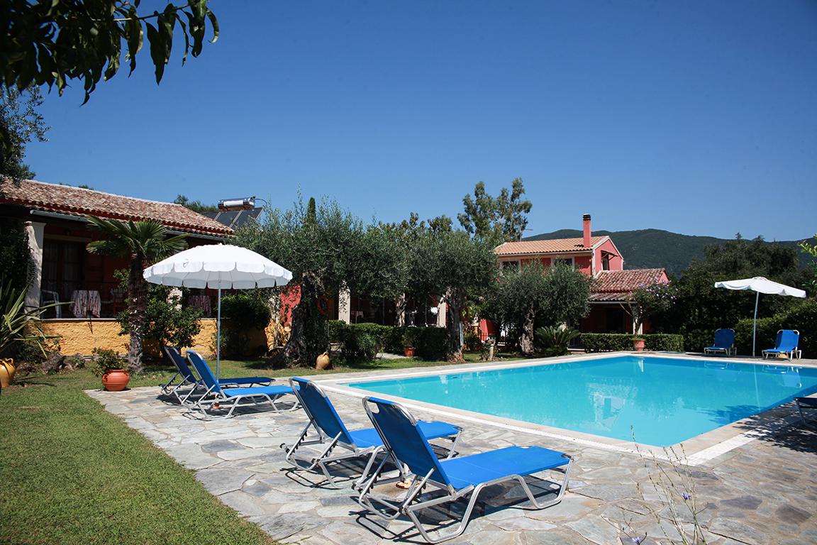 Studio's Aristea